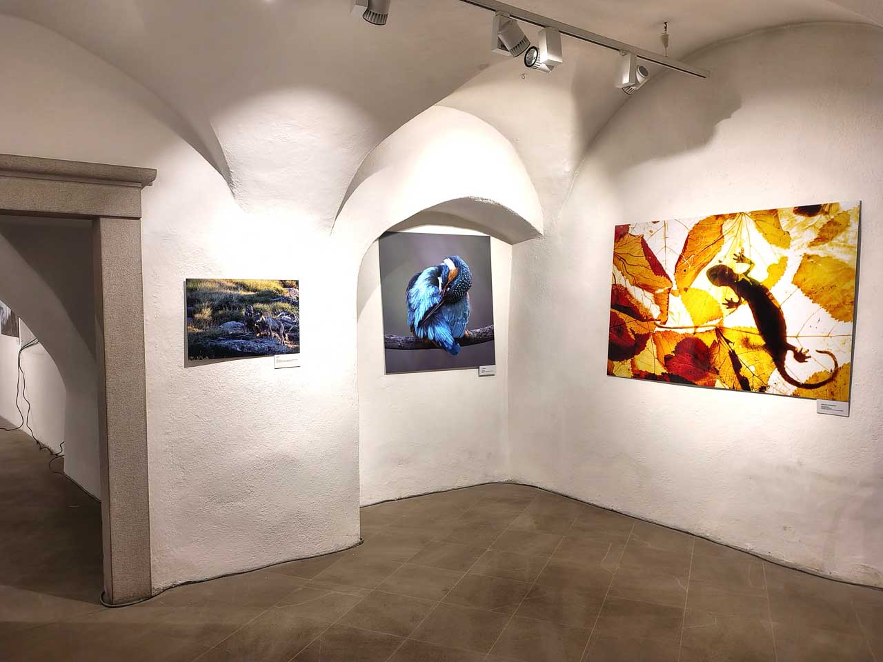 eventi_059c.jpg