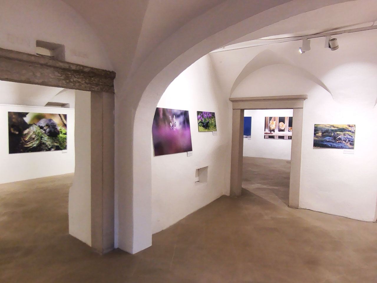 eventi_059d.jpg