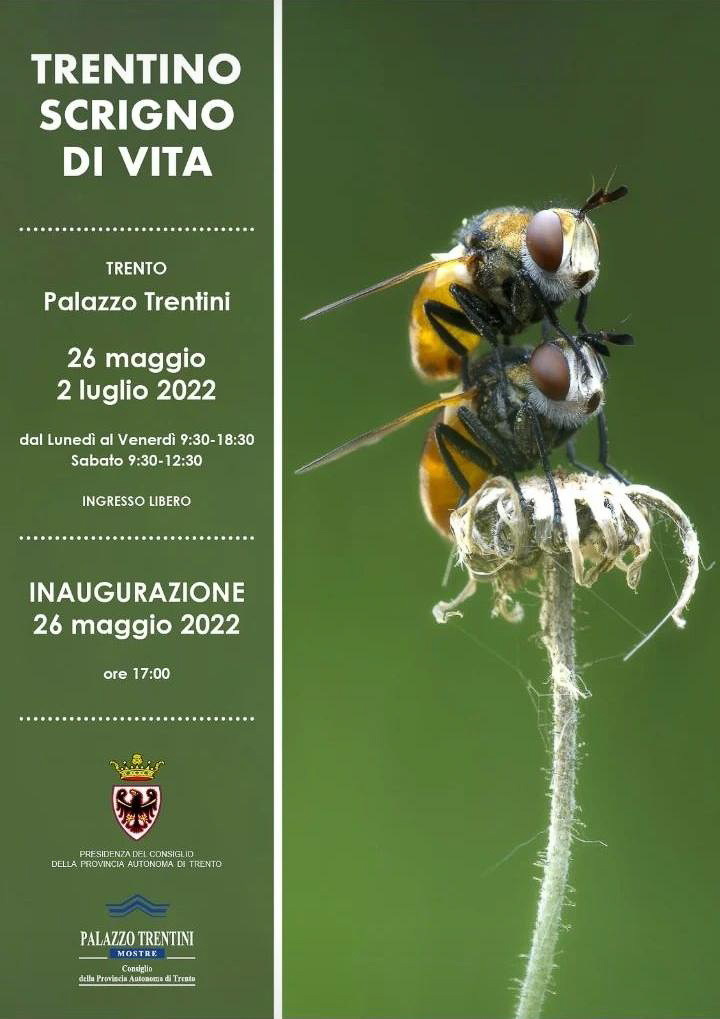 eventi_062a.jpg
