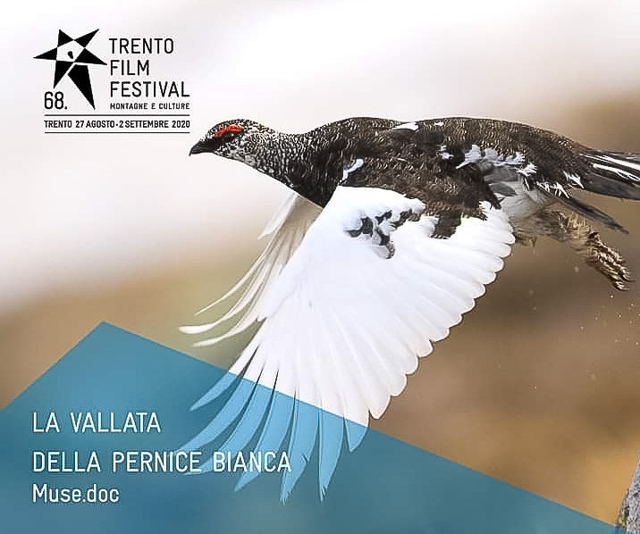 eventi_064.jpg