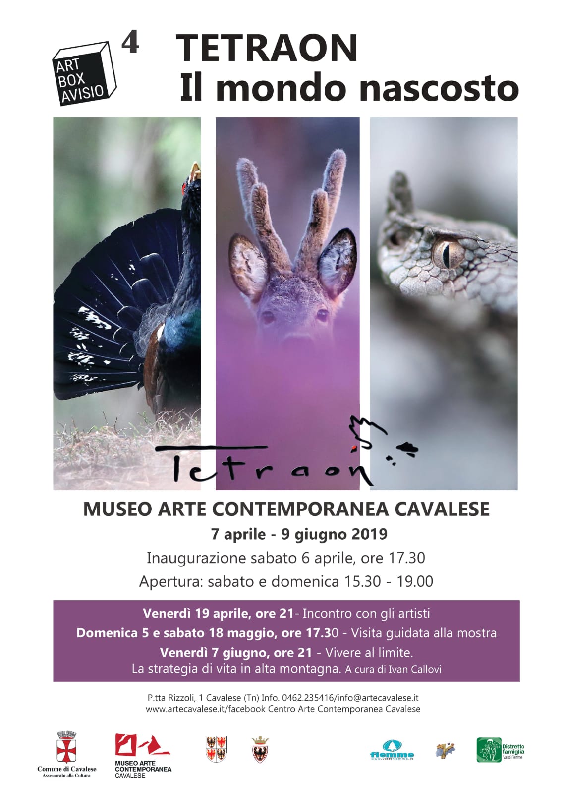 eventi_071a.jpg