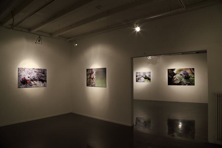 eventi_071i.jpg