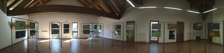 eventi_072.jpg