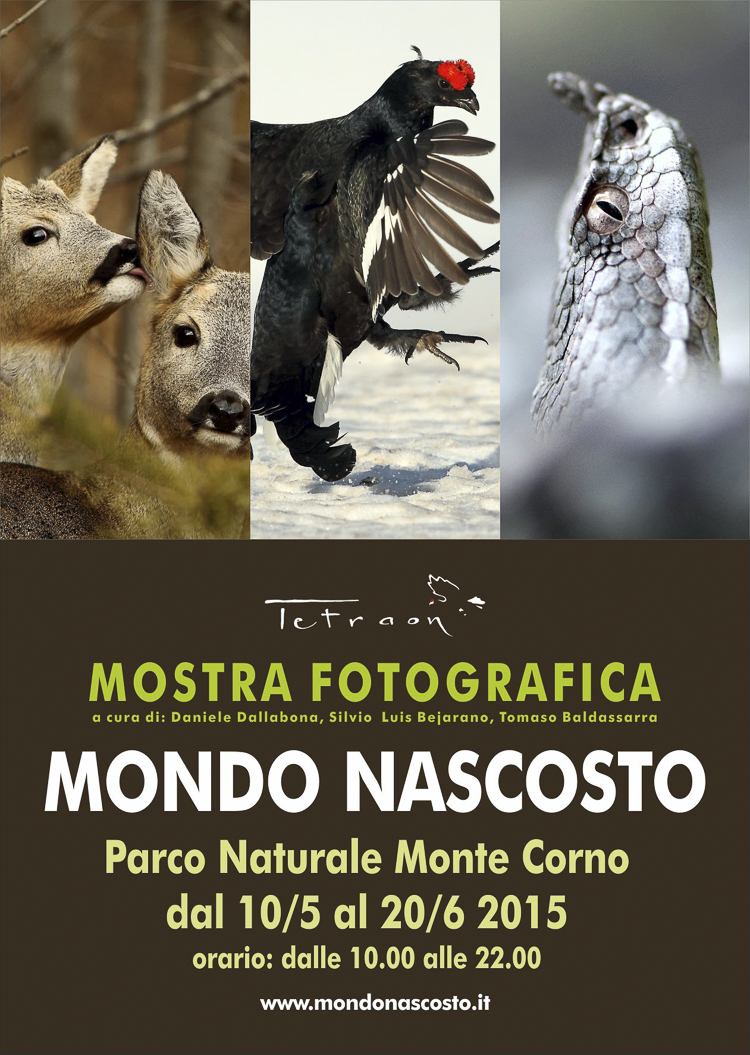 eventi_095.jpg