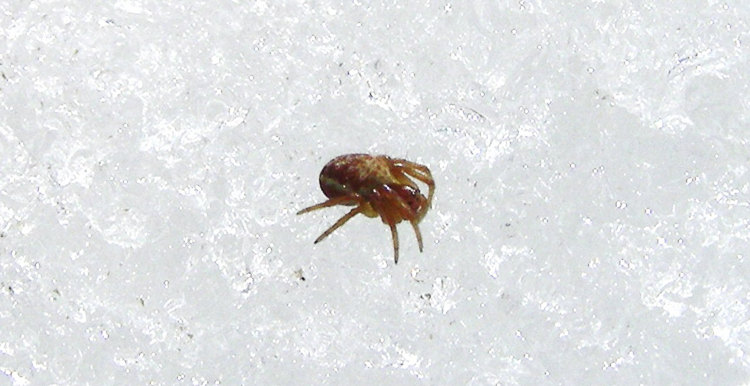 altro_162.jpg