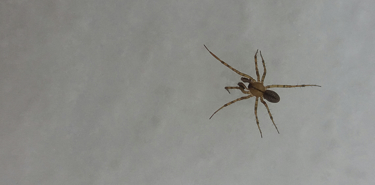 altro_208.jpg