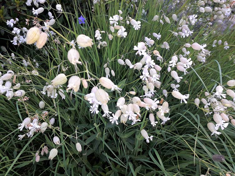 bianco_002.jpg
