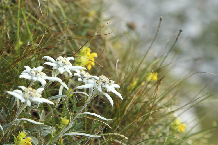 bianco_067.jpg