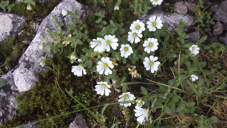 bianco_090.jpg