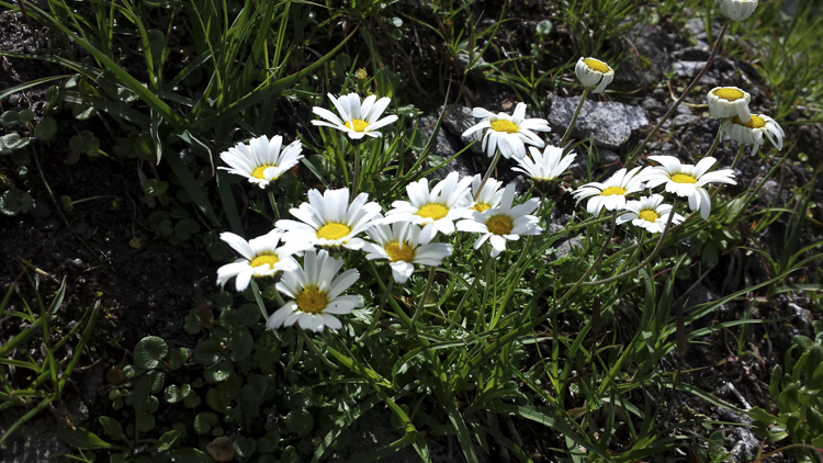 bianco_093.jpg