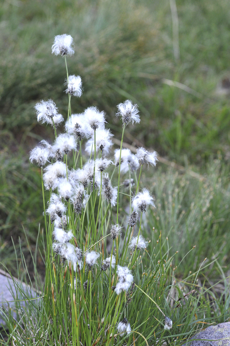 bianco_094b.jpg
