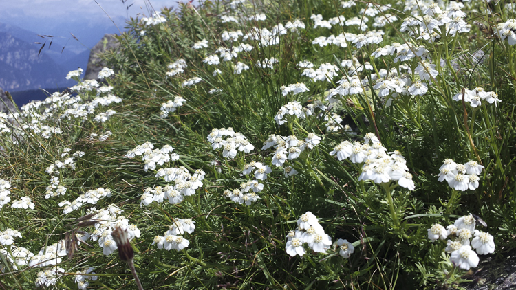 bianco_099.jpg