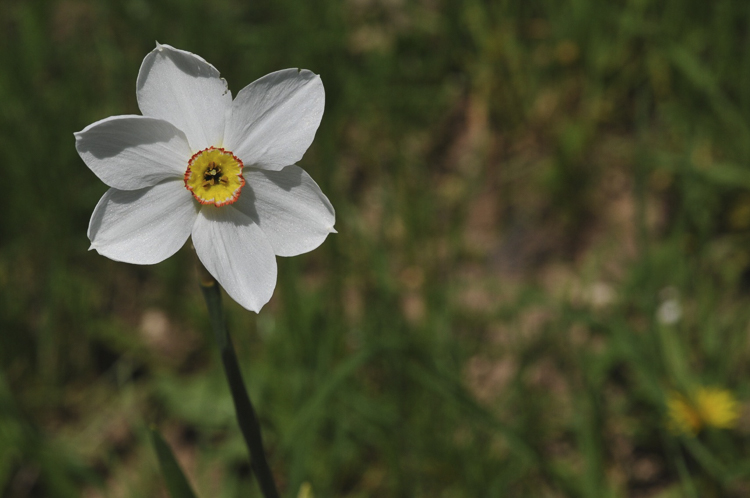 bianco_119.jpg