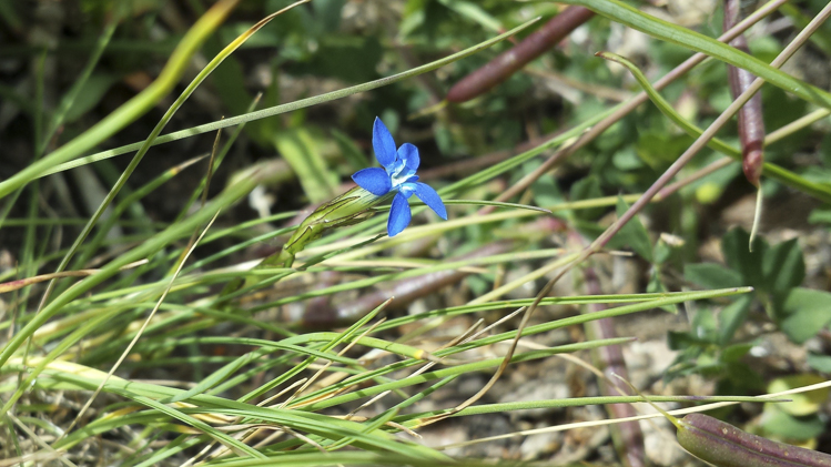 blu_090.jpg