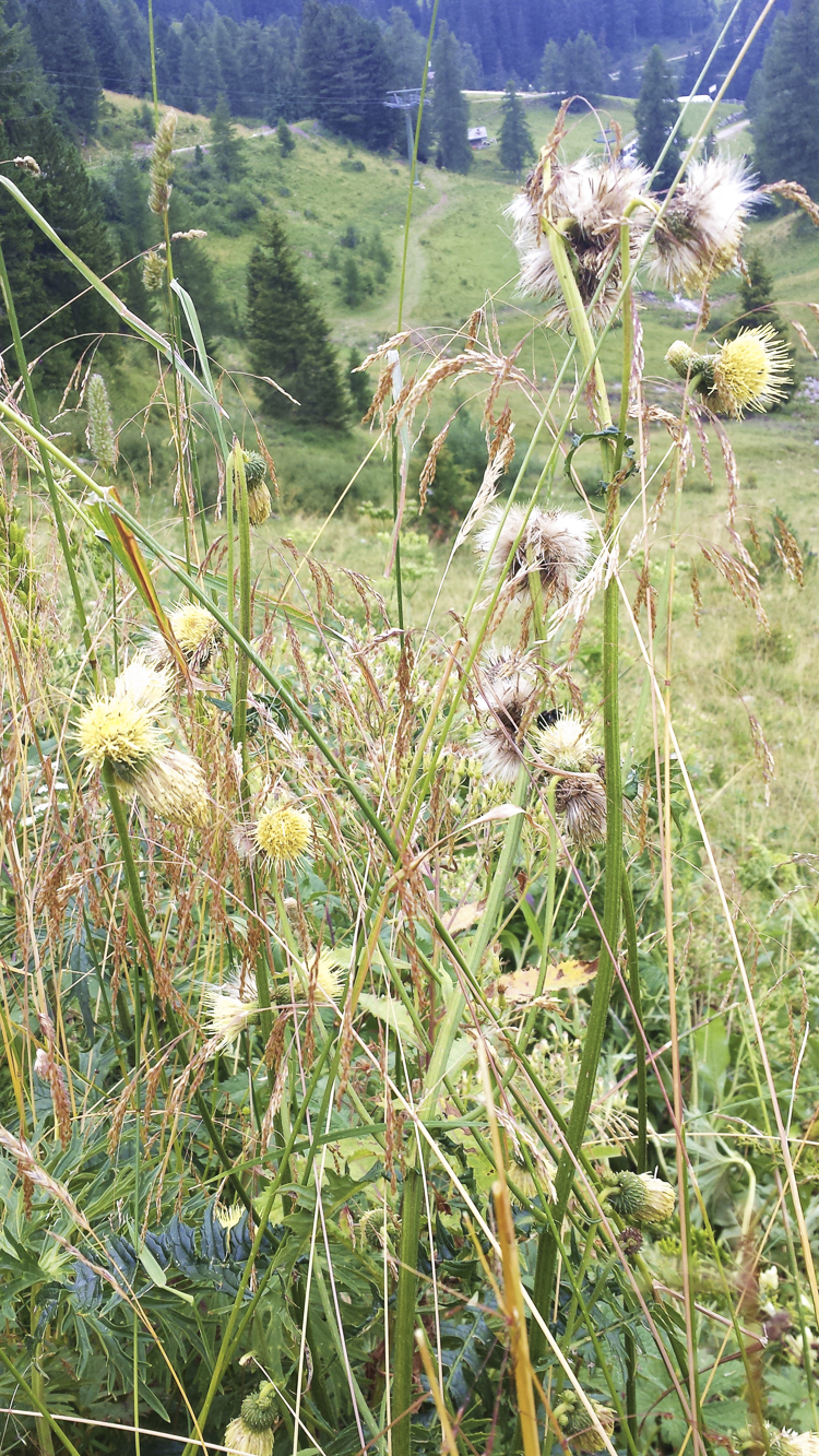 giallo_095.jpg