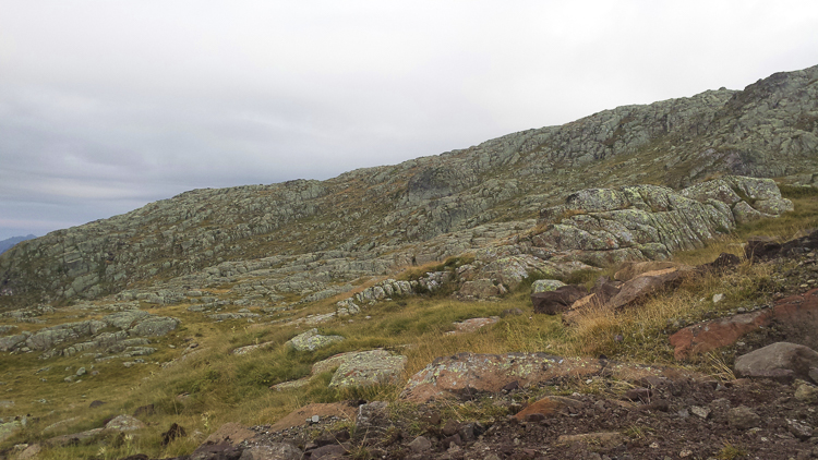 habitat_064.jpg